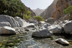 03 Natur pur im Oman